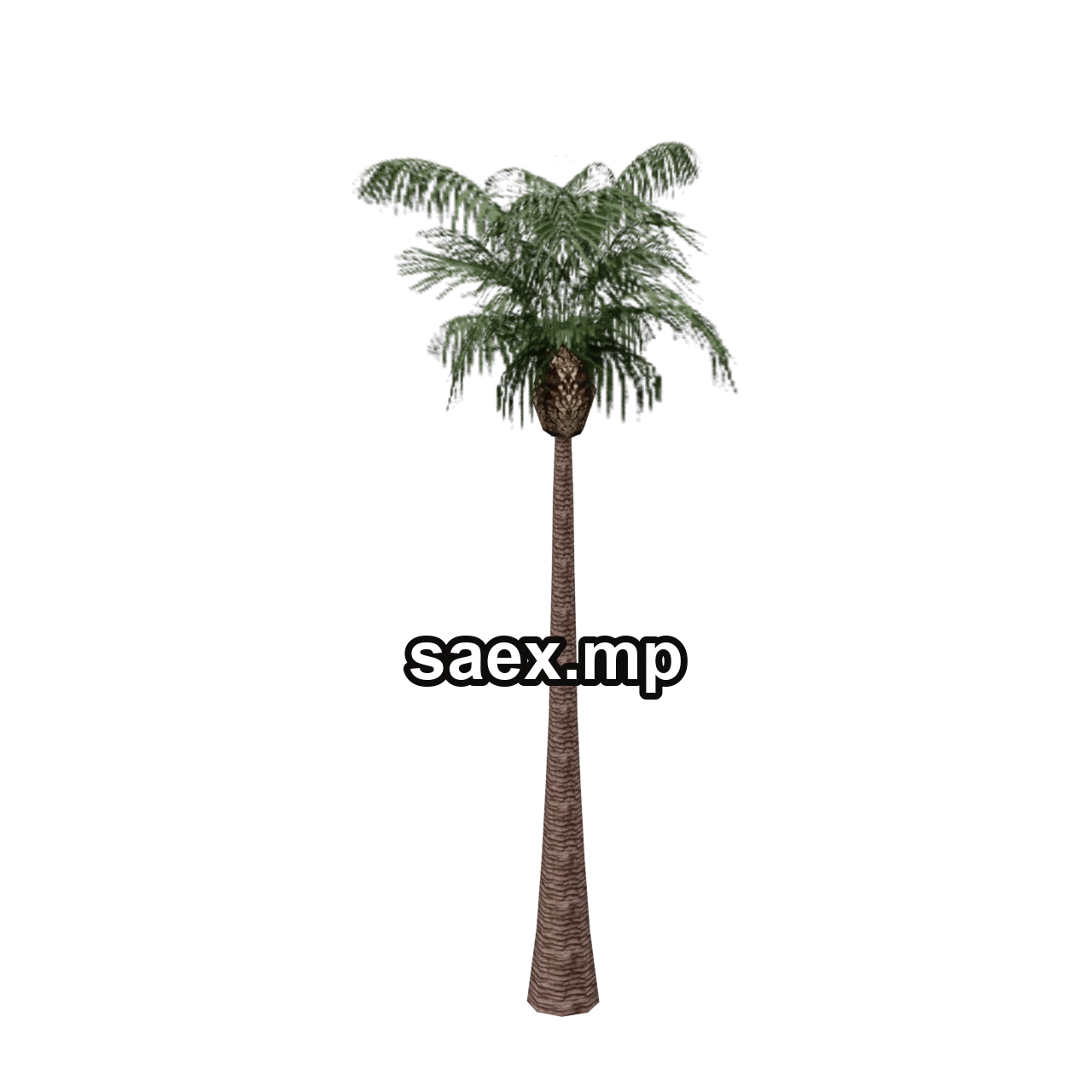 Object preview · vgs_palm01