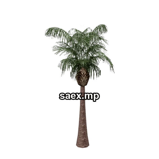 Object preview · vgs_palm02