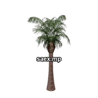 Object preview · vgs_palm03