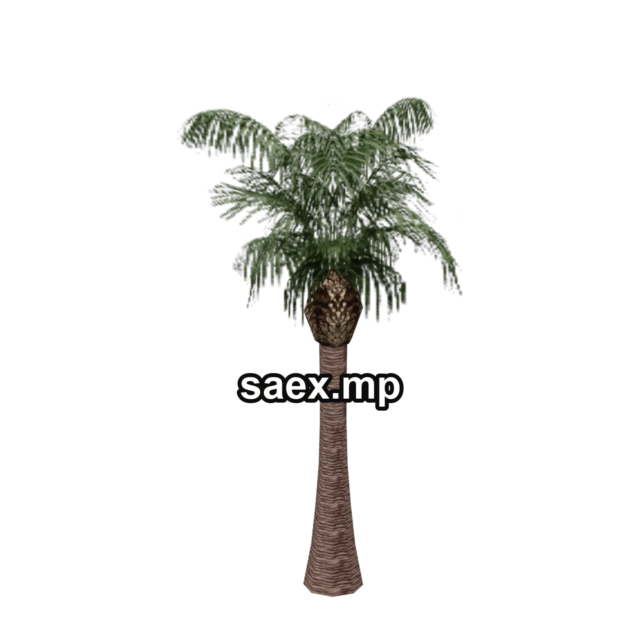 Object preview · vgs_palm03