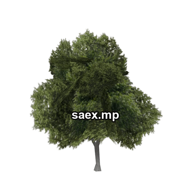 Preview of veg_bevtree1, model 713