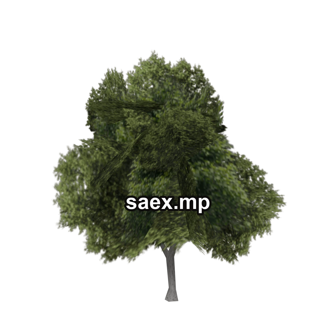 Object preview · veg_bevtree1