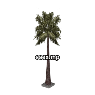 Object preview · sjmpalmbigpv