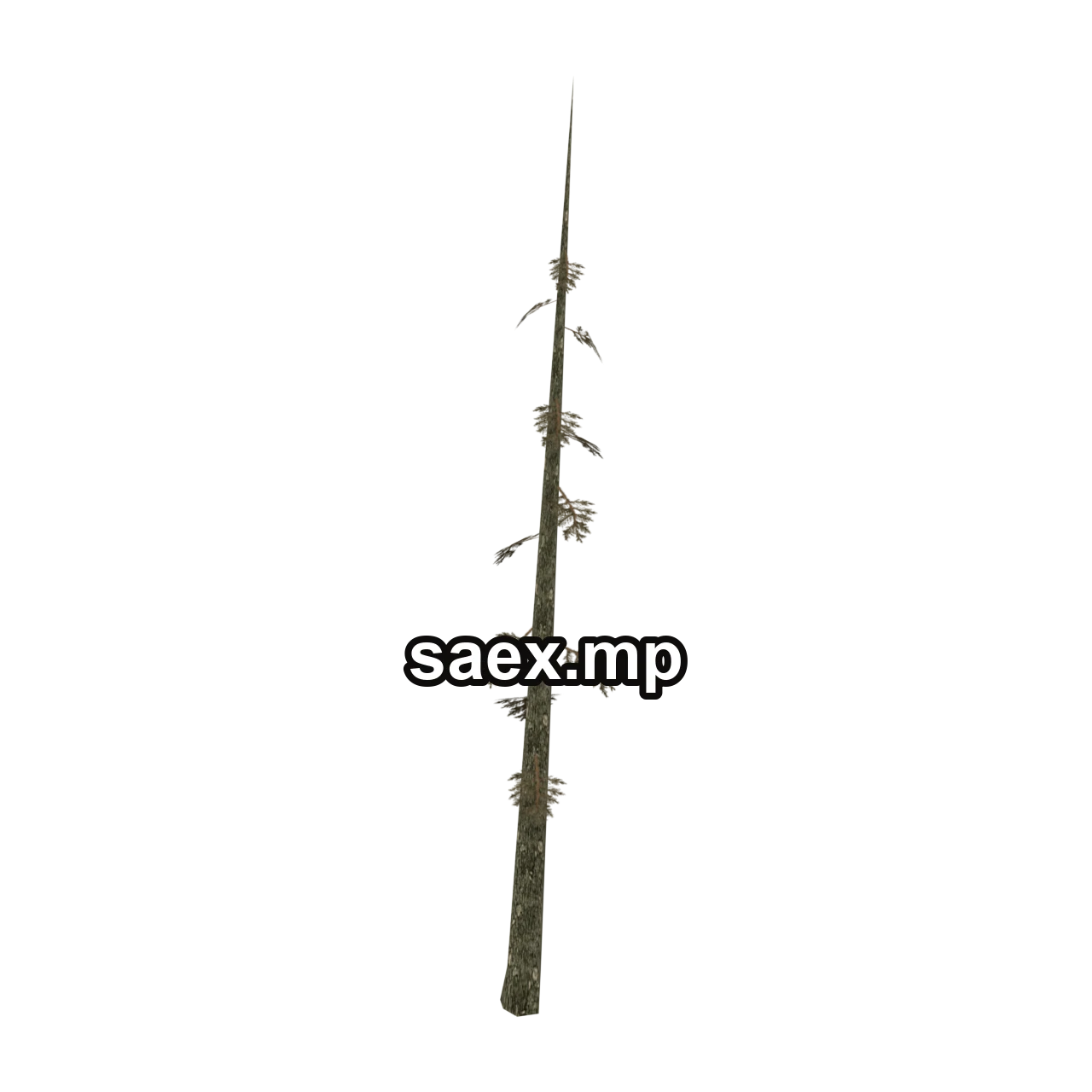 Object preview · veg_largefurs01