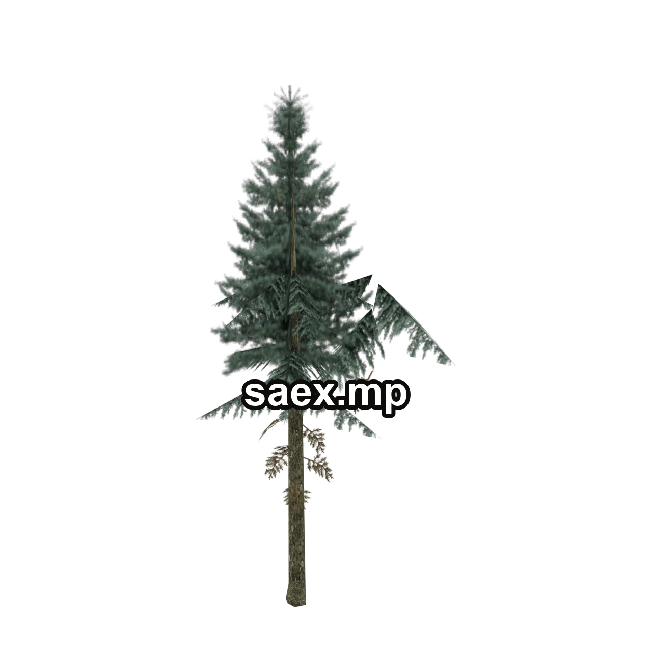Object preview · veg_largefurs03