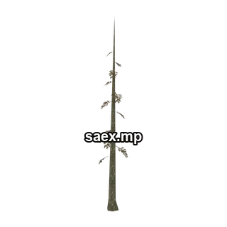 Object preview · veg_largefurs05