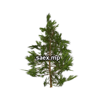 Obje önizlemesi · tree_hipoly19