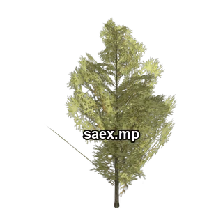 Object preview · tree_hipoly07