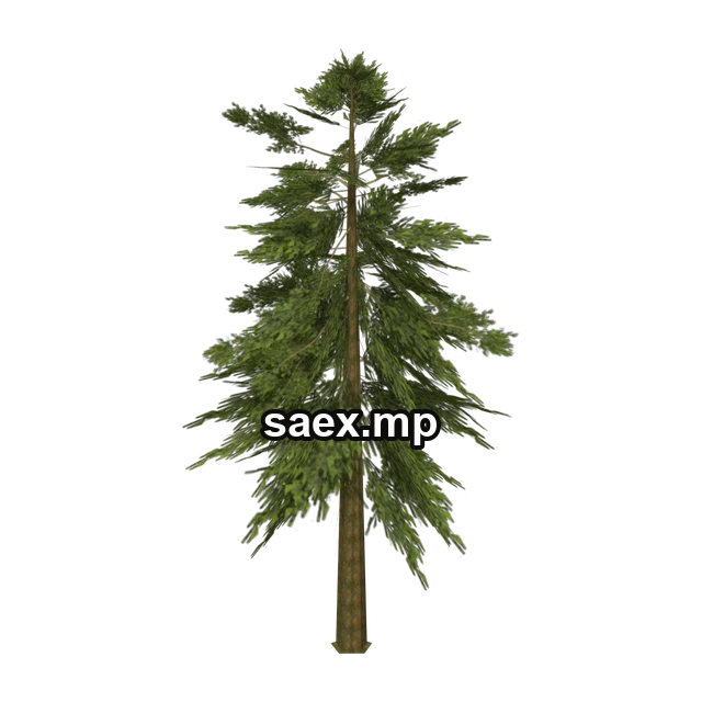 Preview of tree_hipoly09, model 731