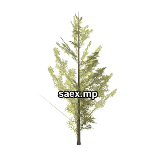 Object preview · tree_hipoly10