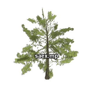 Object preview · tree_hipoly11