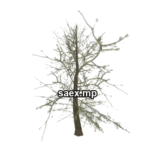 Object preview · tree_hipoly09b