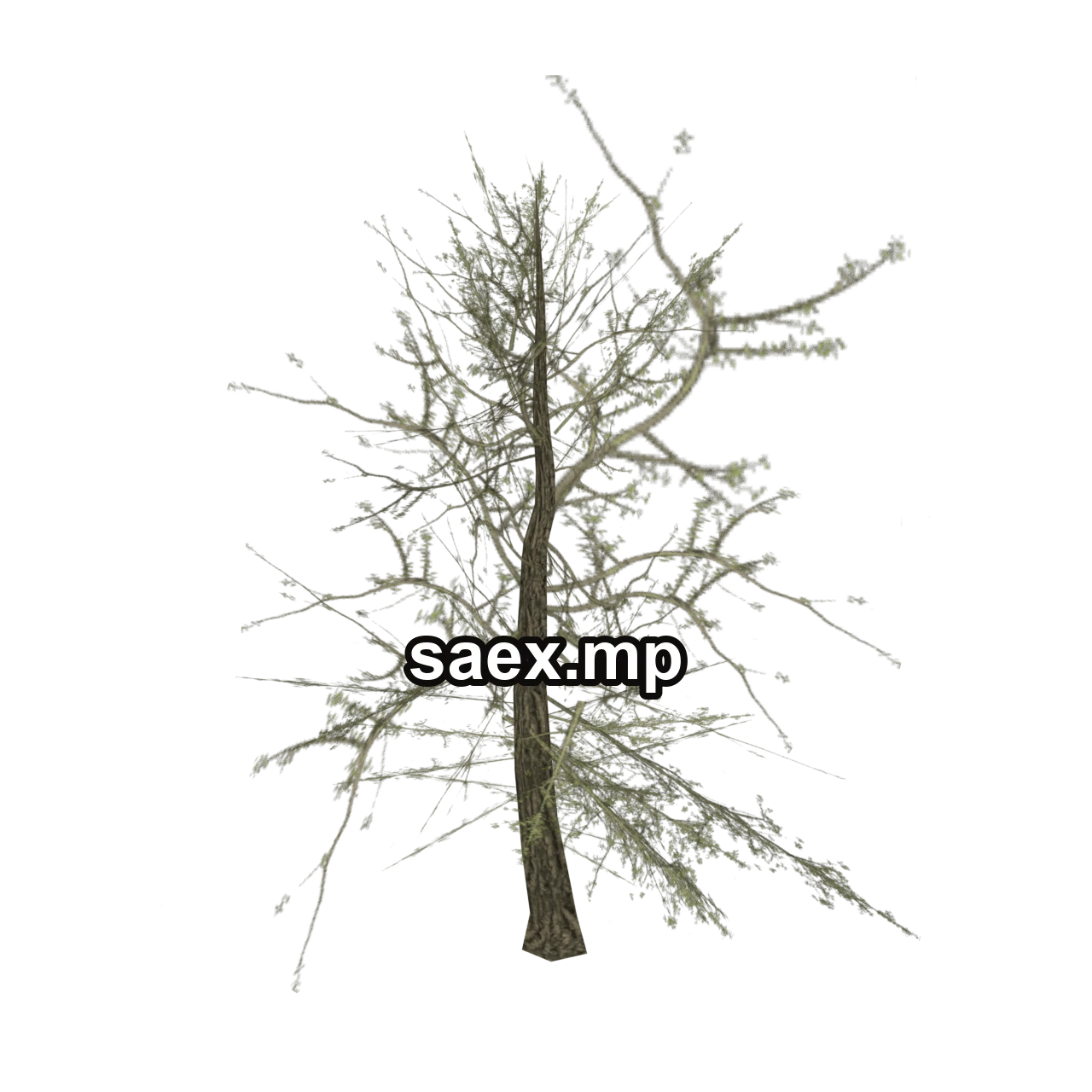 Obje önizlemesi · tree_hipoly09b