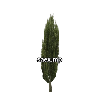 Obje önizlemesi · ceasertree01_lvs