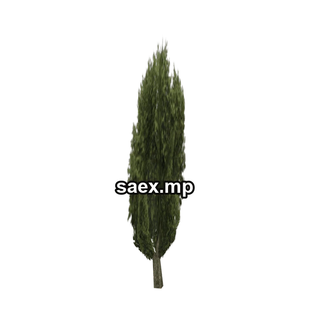 ceasertree01_lvs önizlemesi, model 736