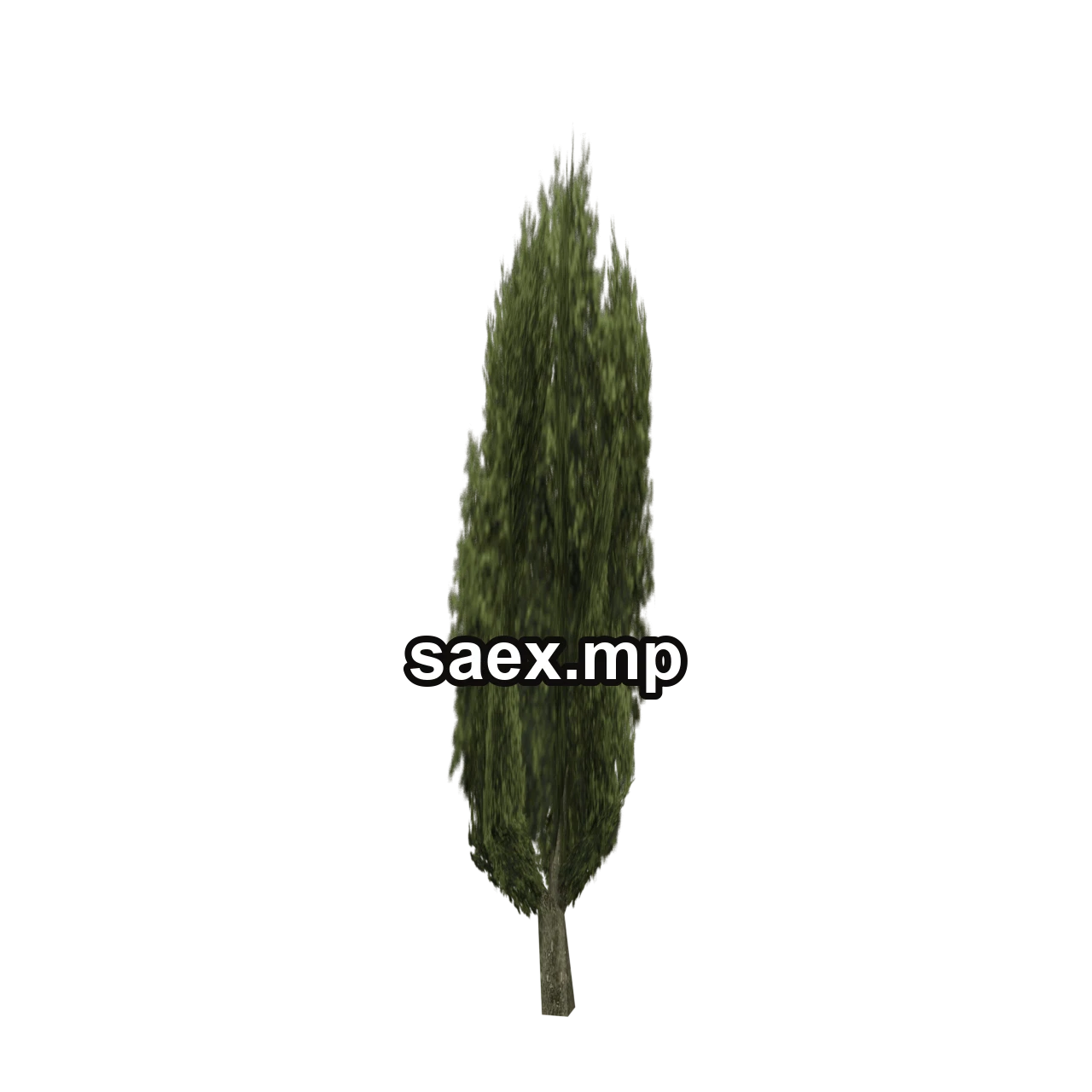 Obje önizlemesi · ceasertree01_lvs