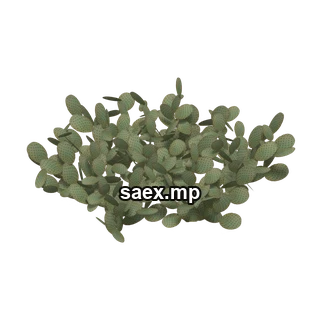 Object preview · sm_descactiigrpb