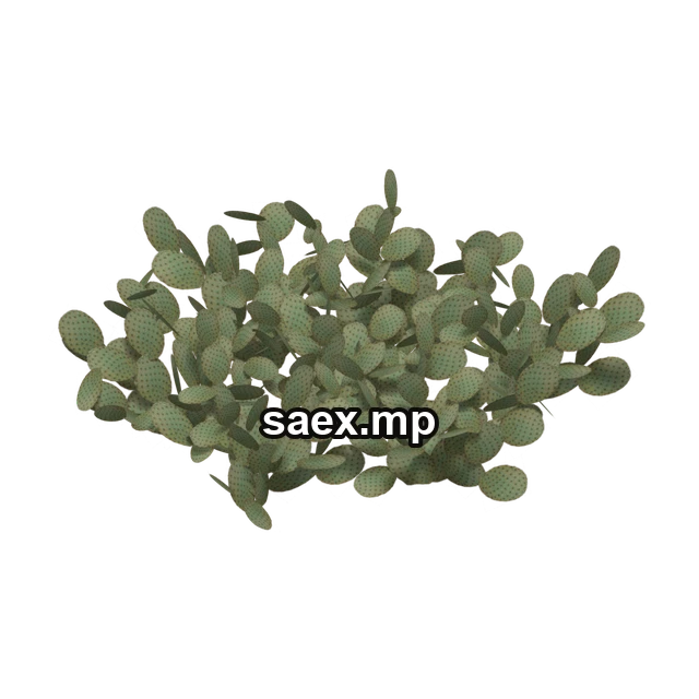 Object preview · sm_descactiigrpb