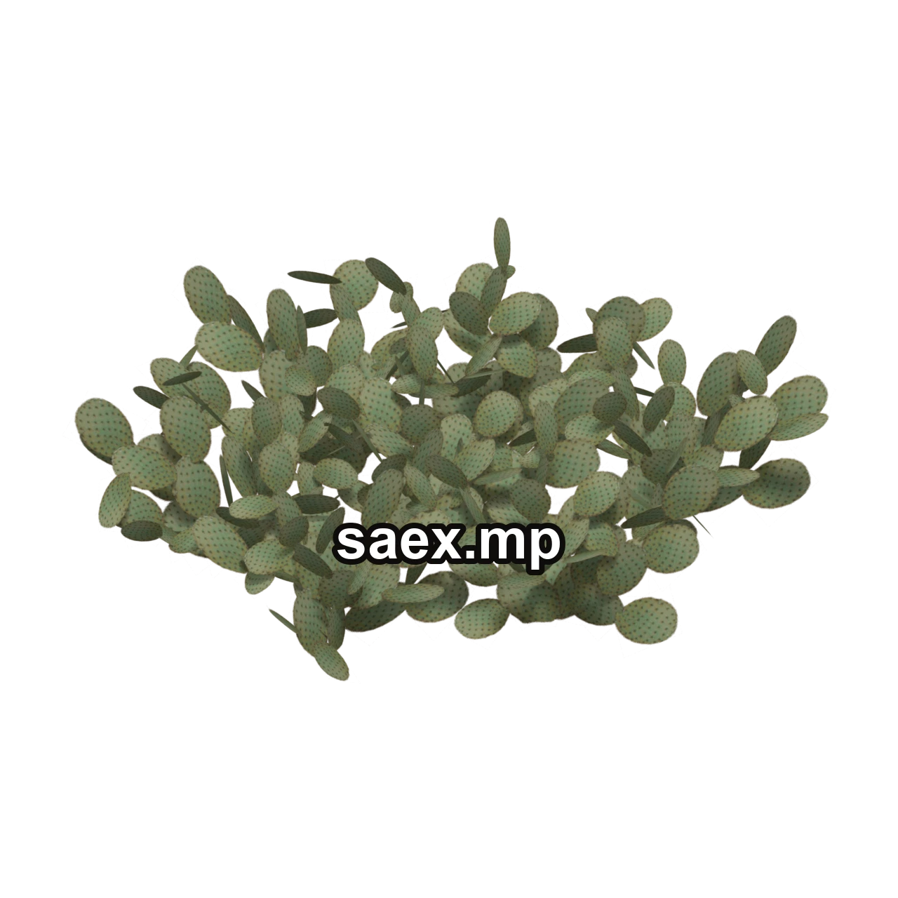 Object preview · sm_descactiigrpb