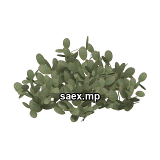 Object preview · sm_des_cactiigrp