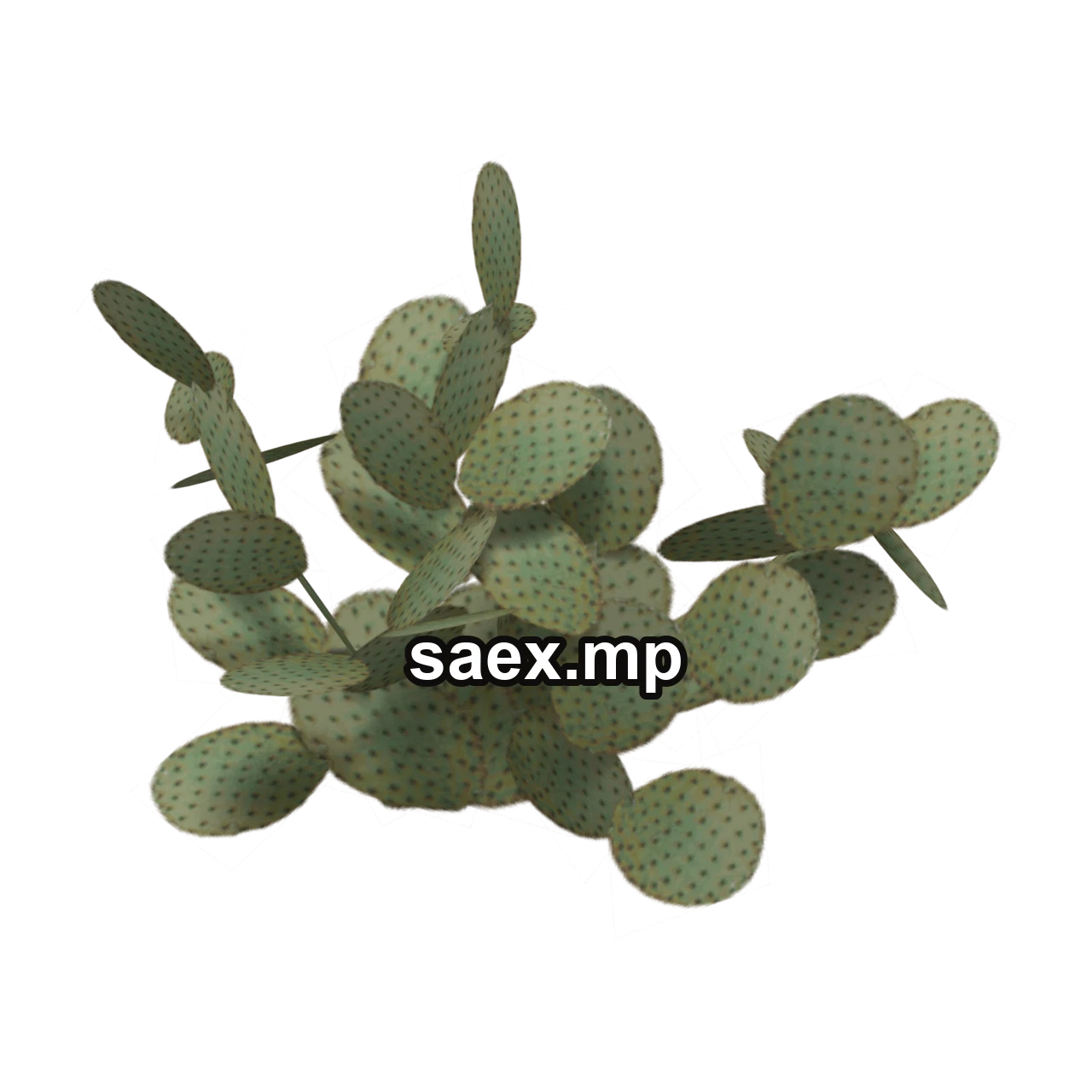 Object preview · sm_des_pcklypr3