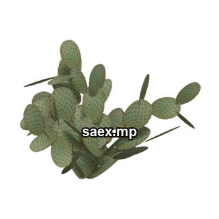 Obje önizlemesi · sm_des_pcklypr2