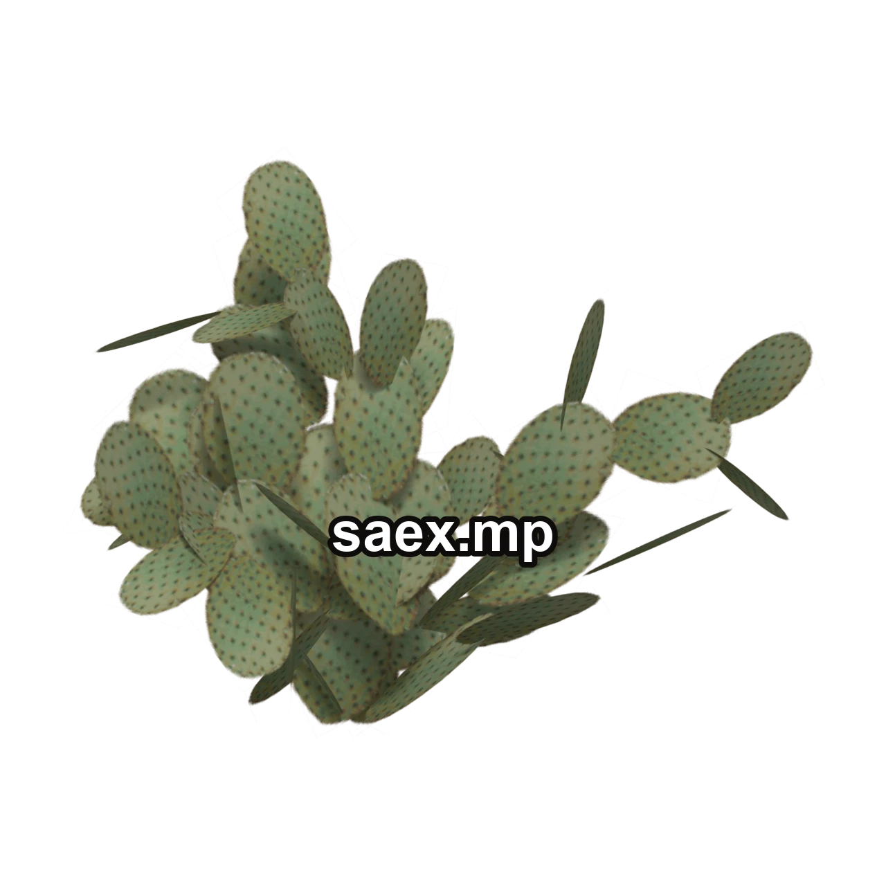 Object preview · sm_des_pcklypr2