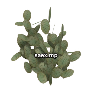 Obje önizlemesi · sm_des_pcklypr1