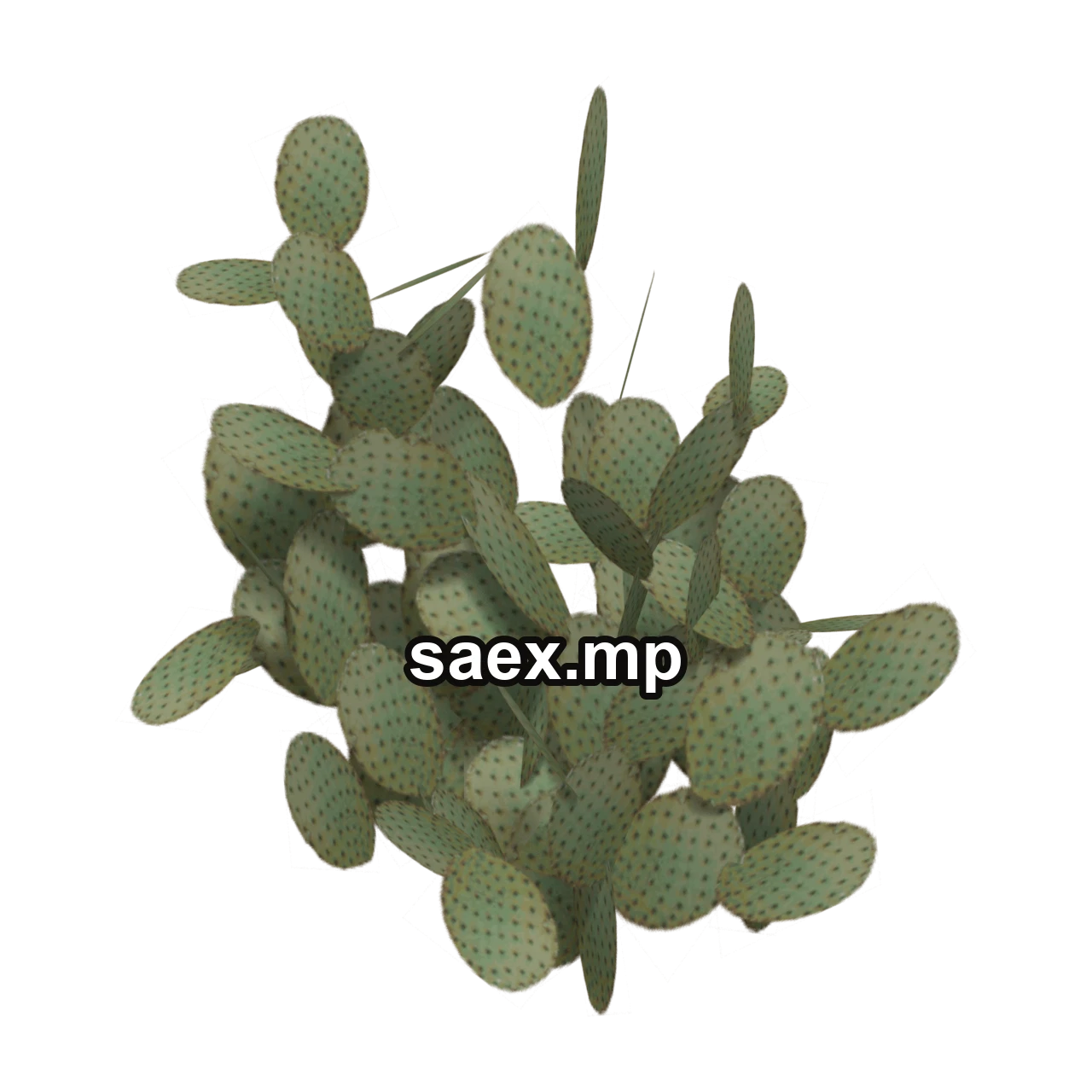 Obje önizlemesi · sm_des_pcklypr1