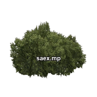 Object preview · new_bushtest