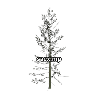 Object preview · Cedar3_hi