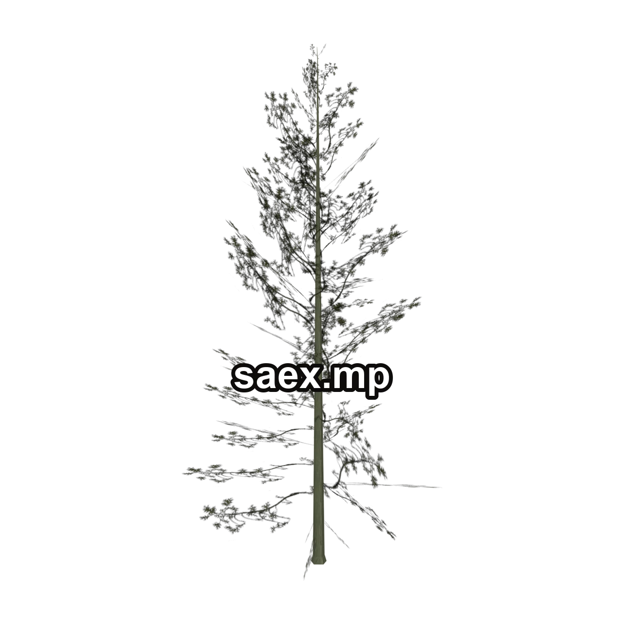 Obje önizlemesi · Cedar3_hi