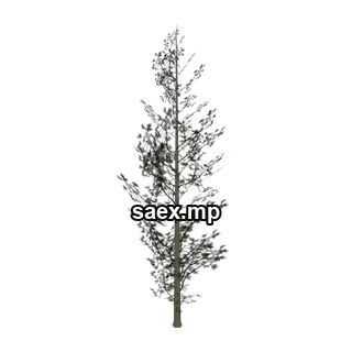 Object preview · Cedar1_hi