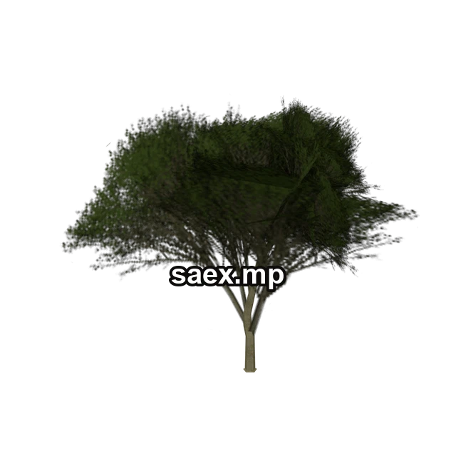 Preview of Elmtreegrn_hi, model 767