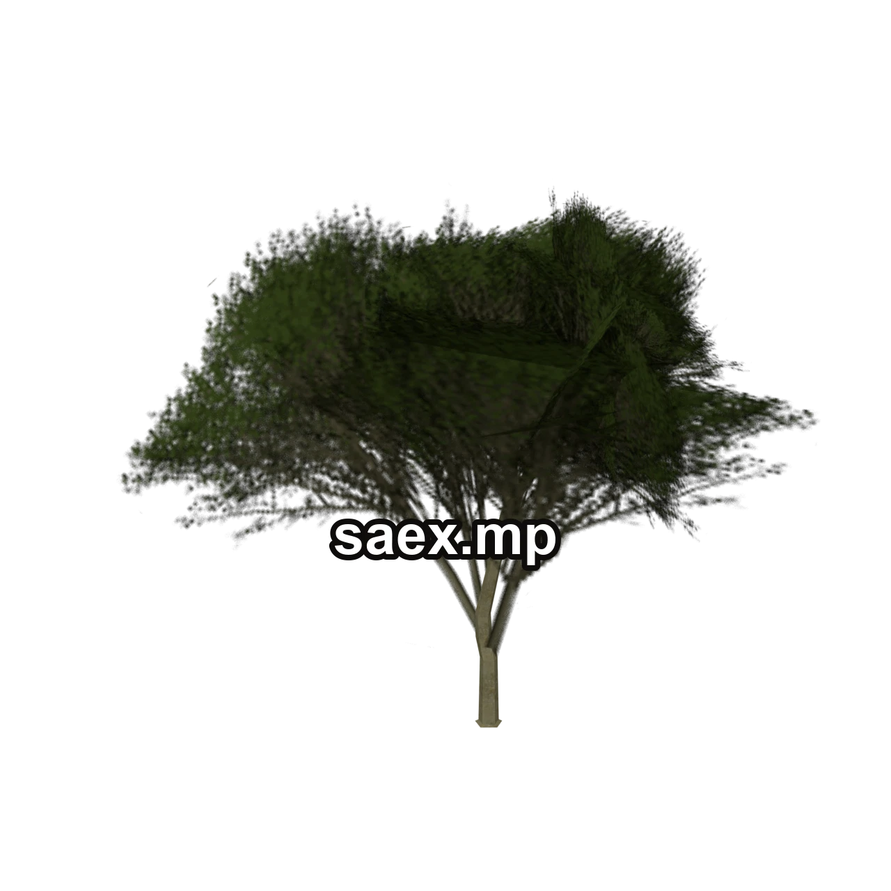 Object preview · Elmtreegrn_hi