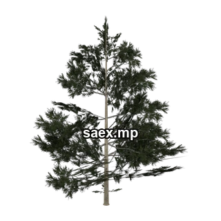 Object preview · Pinebg_hi