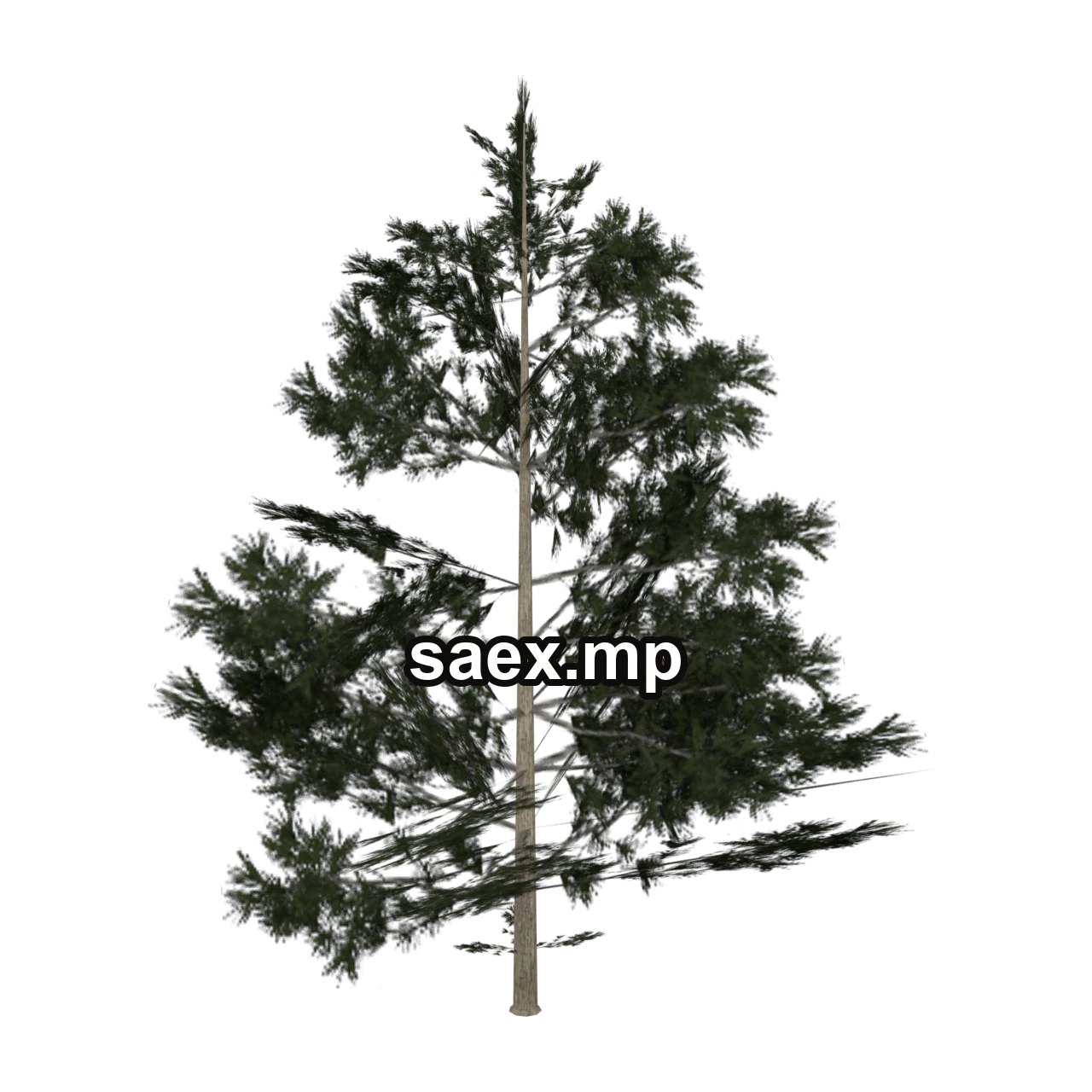 Object preview · Pinebg_hi
