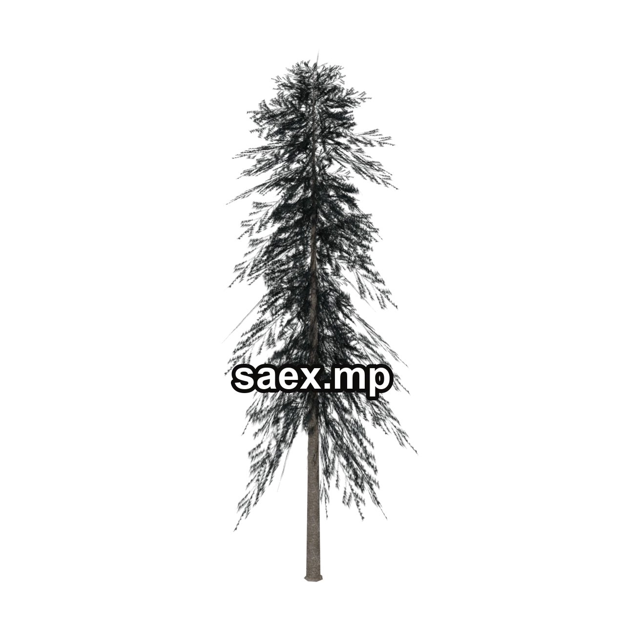 Obje önizlemesi · sprucetree_hi