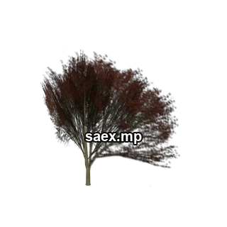 Object preview · Elmred_hi