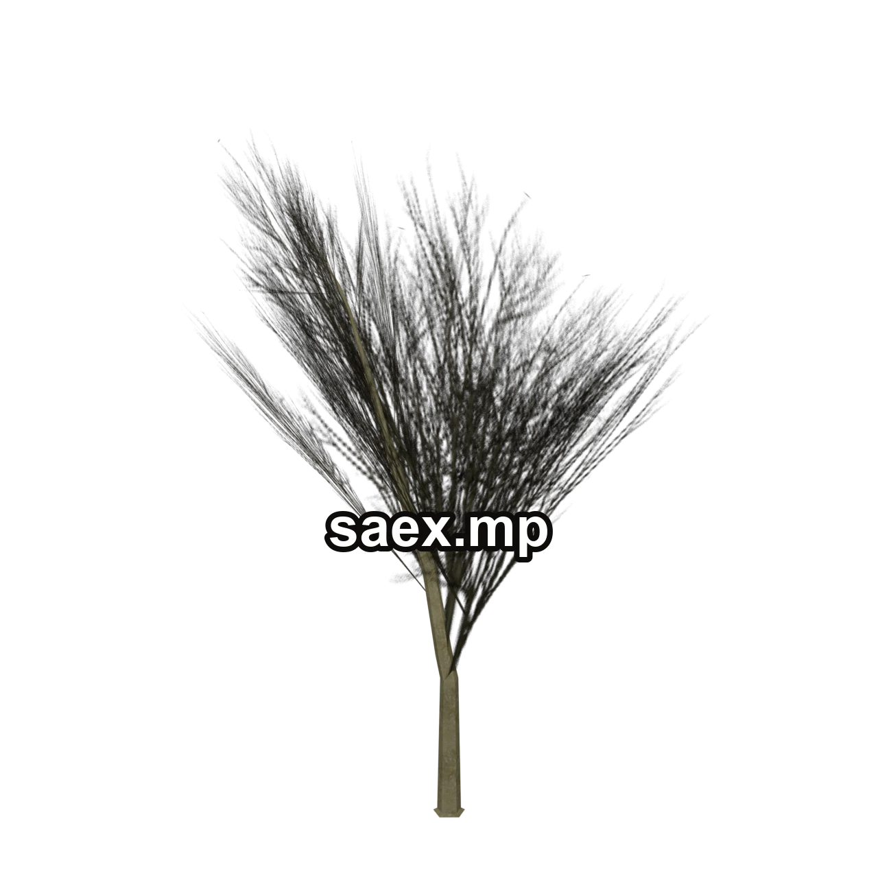 Object preview · Elmdead_hi