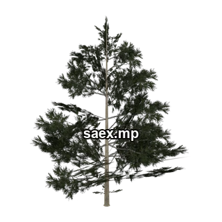 Object preview · Pinebg_hism