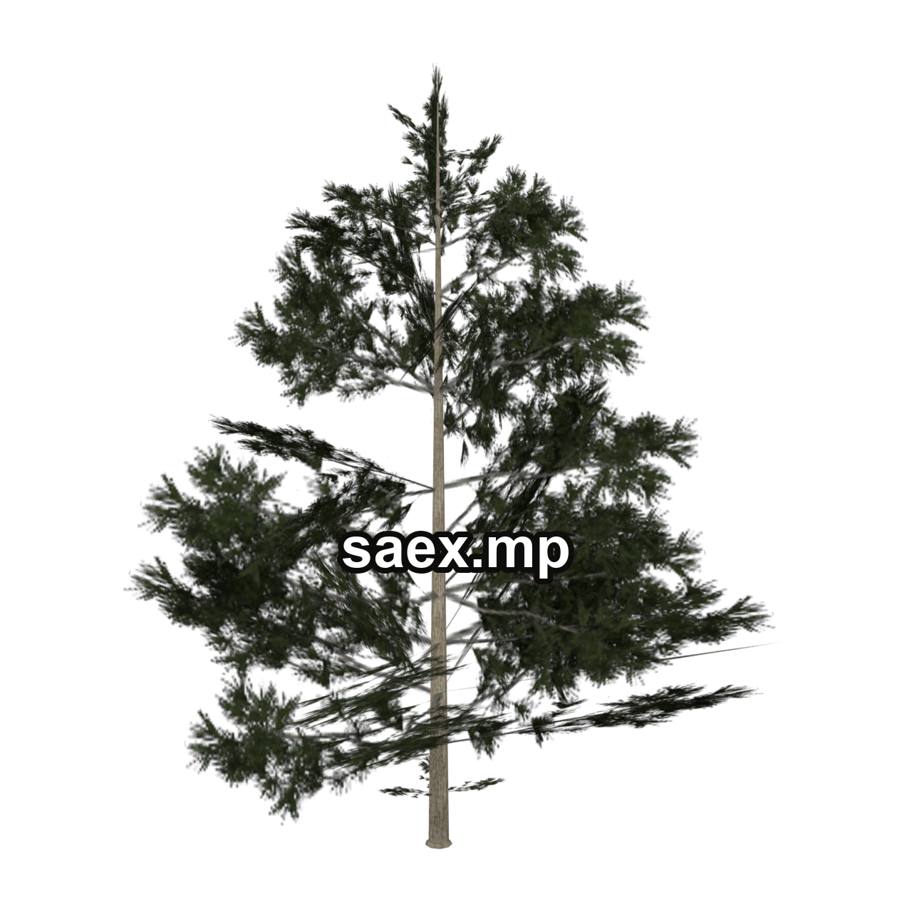 Obje önizlemesi · Pinebg_hism