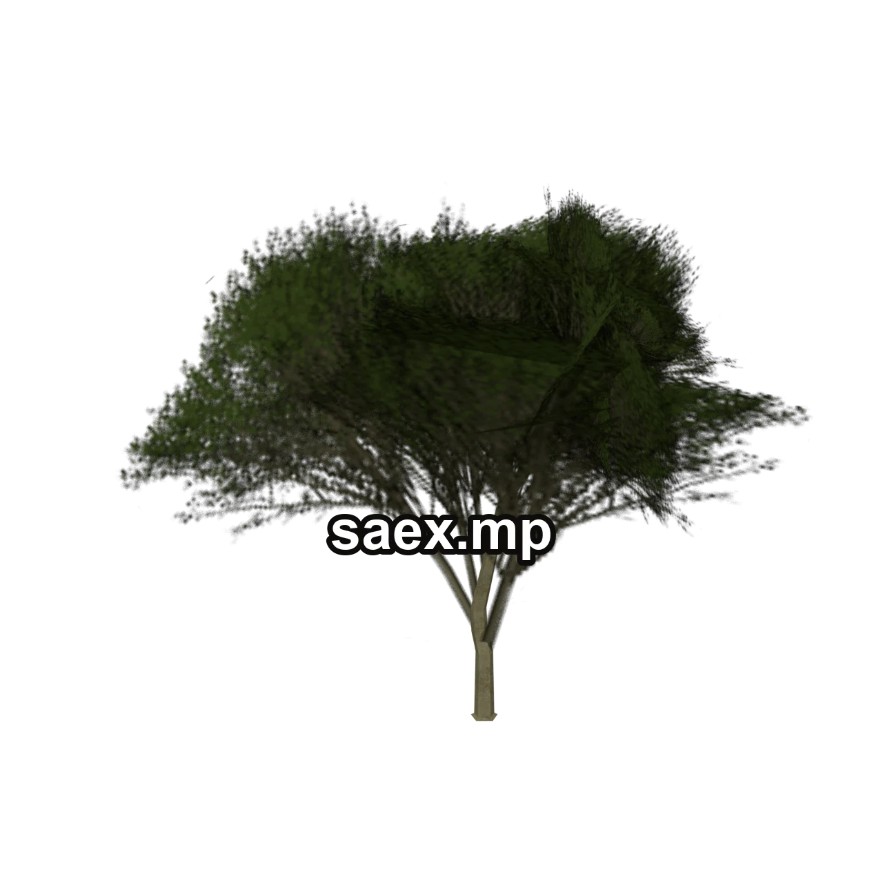 Obje önizlemesi · Elmtreegrn_hism