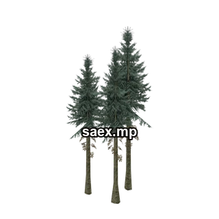 Object preview · sm_fir_tallgroup