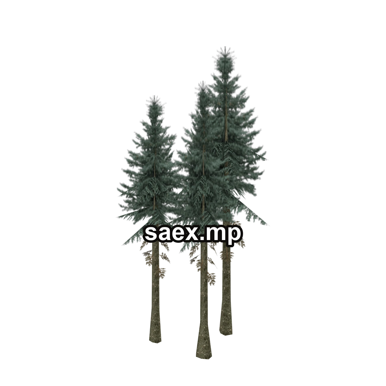 Object preview · sm_fir_tallgroup