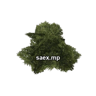 Object preview · genVEG_bush07