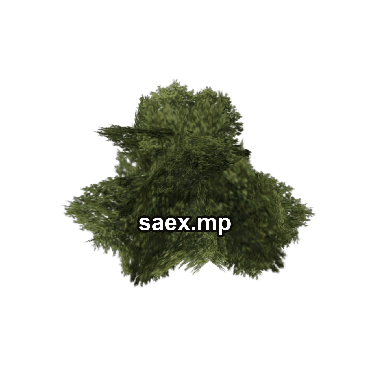Object preview · genVEG_bush07
