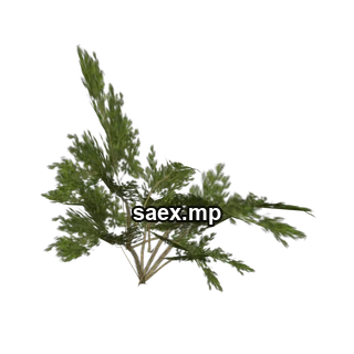 Obje önizlemesi · genVEG_bush17