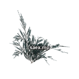 Obje önizlemesi · genVEG_bush18