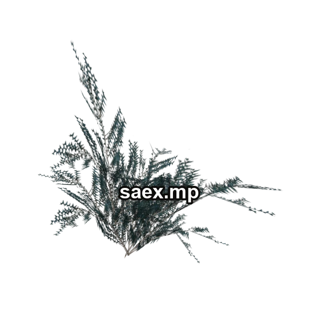 Preview of genVEG_bush18, model 814